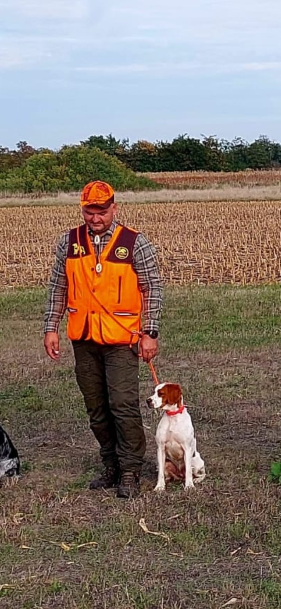 Mann mit Hund im Feld, Jagd, Österreich